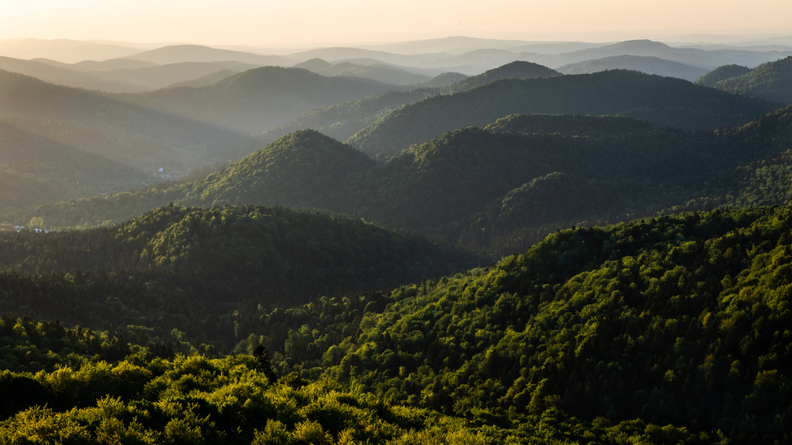Bieszczady – domki w górskim krajobrazie