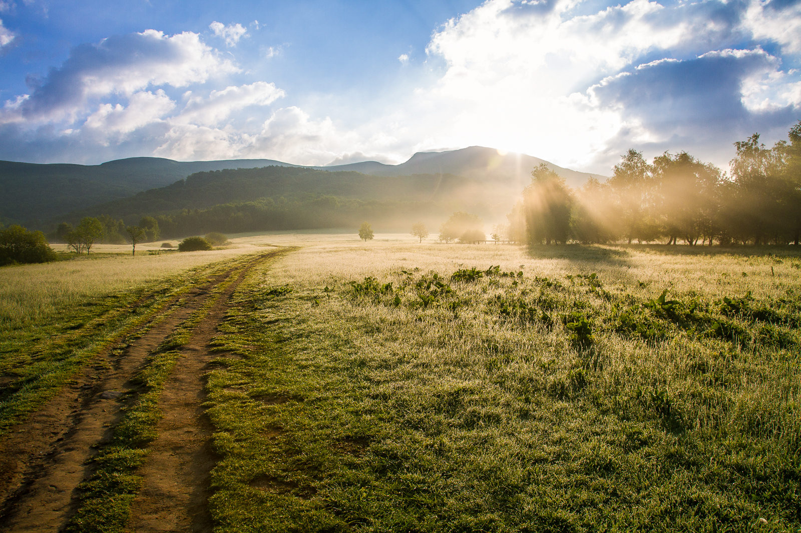 Bieszczadzkie szlaki i bezdroża