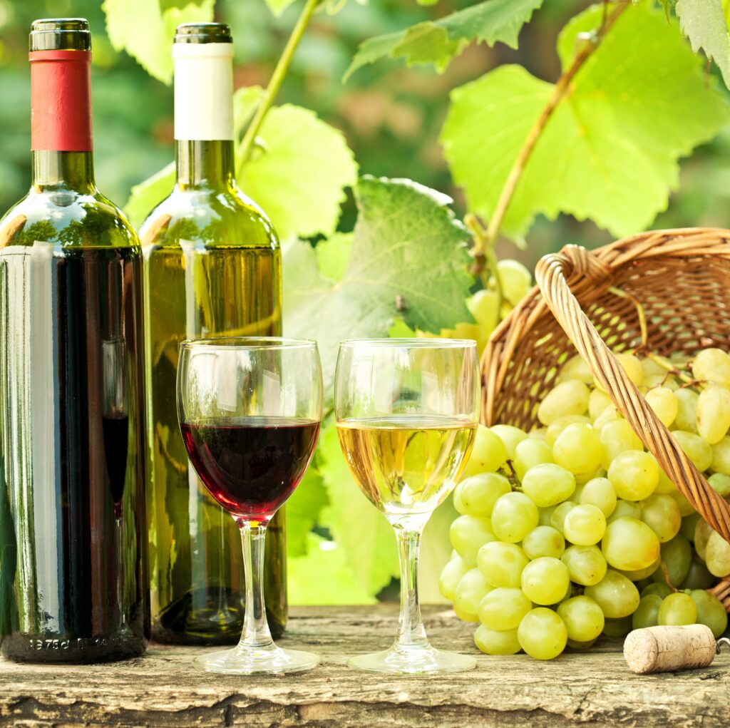 Gruzja, warsztaty winiarskie, wino