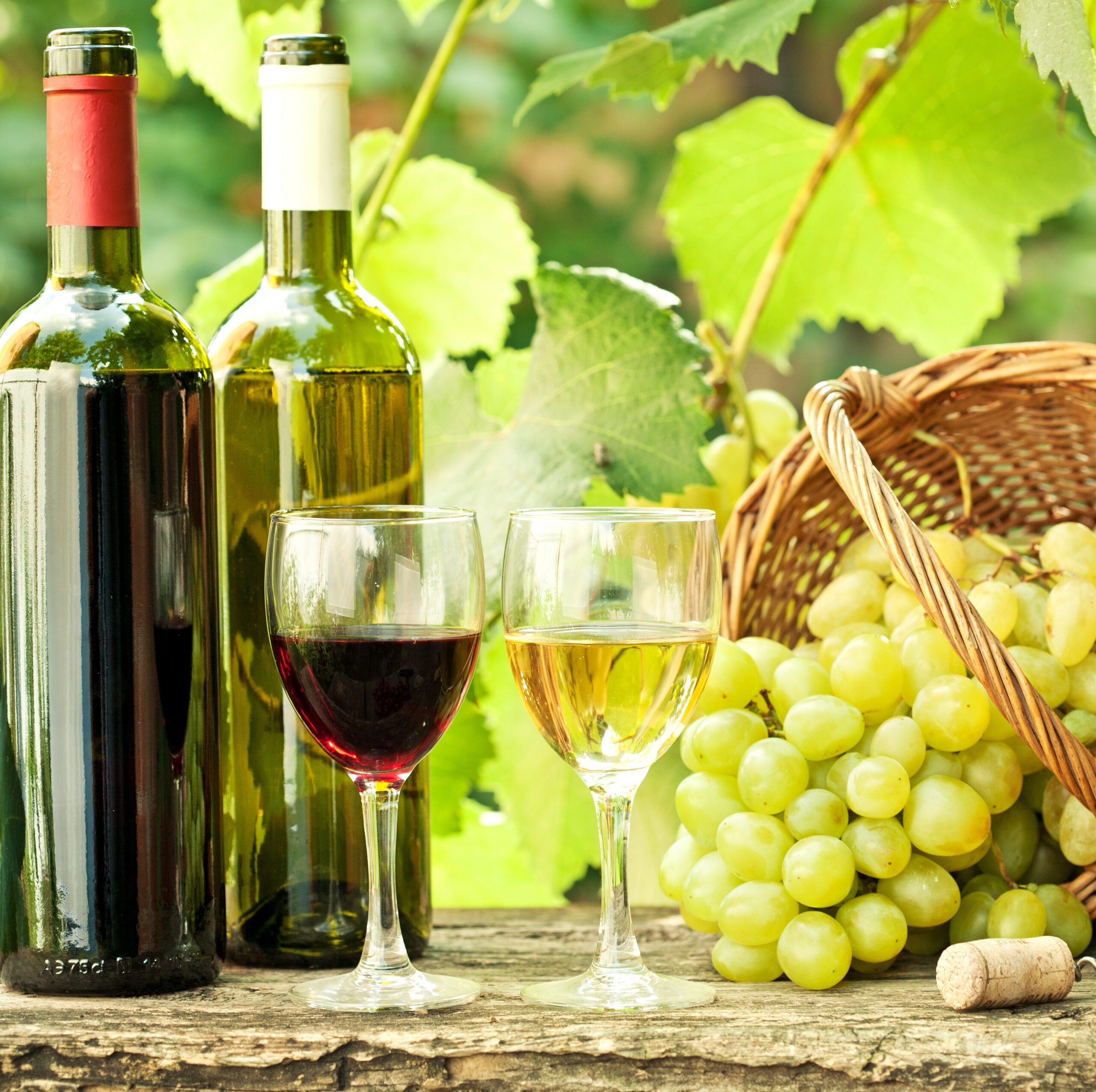 Gruzja, wyjazdy winiarskie, warsztaty winiarskie